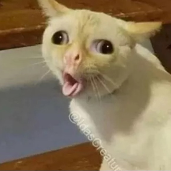 karinamorenoj